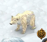 Белый медведь.jpg